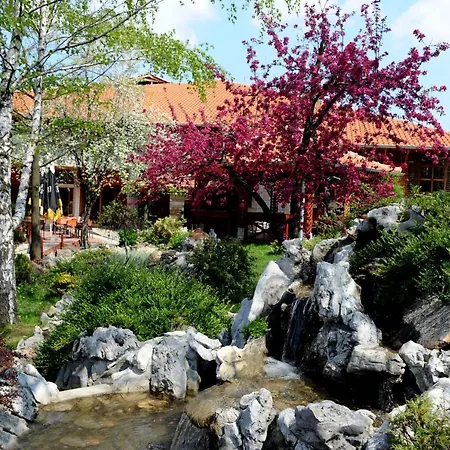 Centar Balasevic 4*