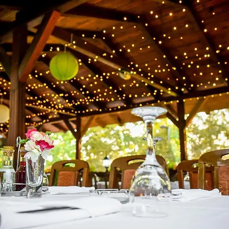 Centar Balasevic 4* Belgrád