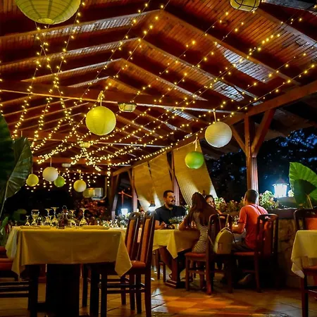 מלון Centar Balasevic 4*