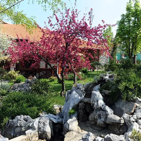 Centar Balasevic 4* Belgrád