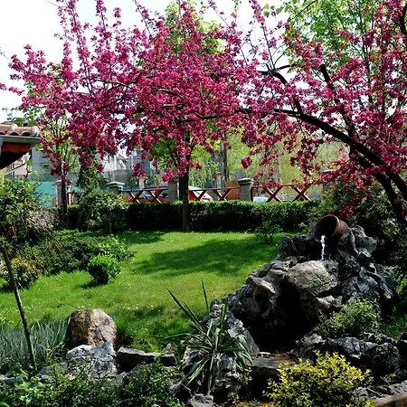 Centar Balasevic בלגרד