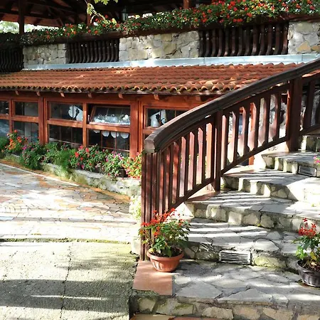 Centar Balasevic