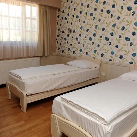 Hotel Centar Balasevic 4*